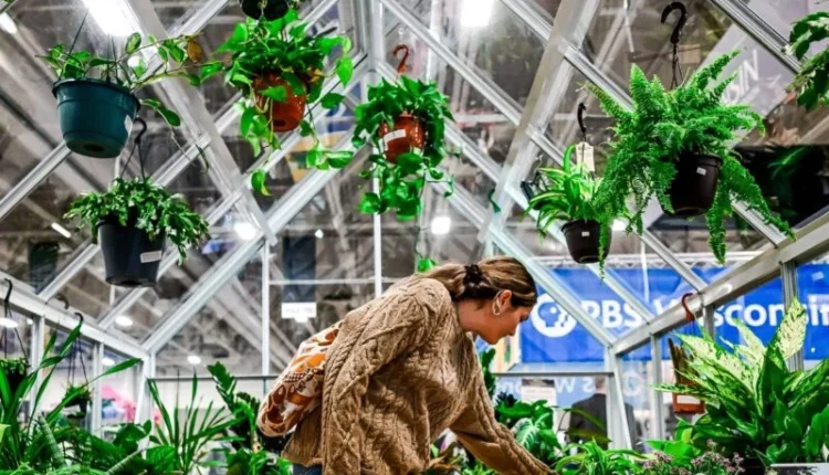 Garden Expo Africa 2025